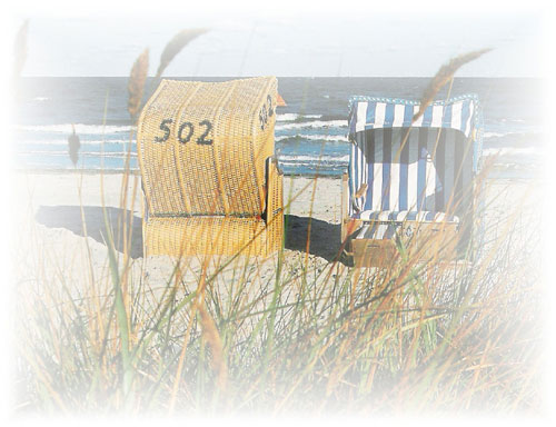 Zur Homepage