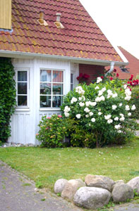 Frontansicht / Copyright B. Walter